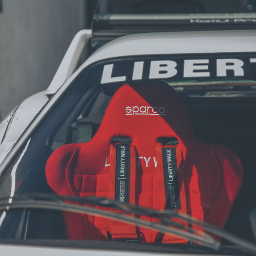 BAQUETS SPARCO FIA