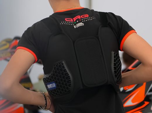 PROTECTIONS LOMBAIRES ET HANS POUR KARTING