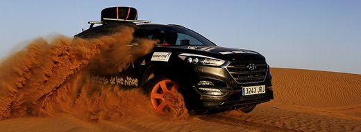 TESTS SPORTIFS MERCHANDISING